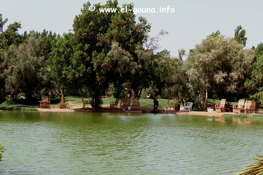 El Gouna Fishfarm 3633